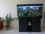 201406081097_t1.jpg