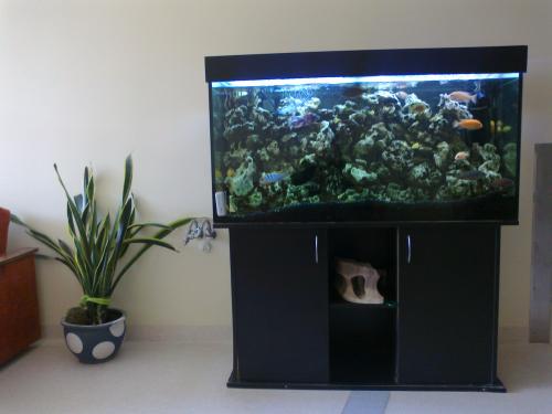 Akvariumas