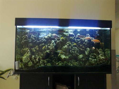 Akvariumas
