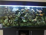201406081099_t1.jpg