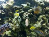 201406081100_t1.jpg