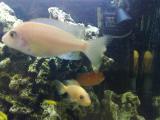 201406081101_t1.jpg