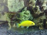 201406081102_t1.jpg
