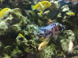 201406081103_t1.jpg