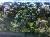 201406081105_t1.jpg