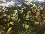 201406081106_t1.jpg