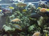 201406081108_t1.jpg