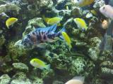201406081109_t1.jpg