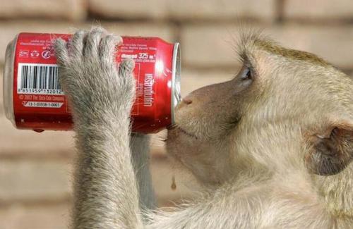 Aš myliu coca-cola!