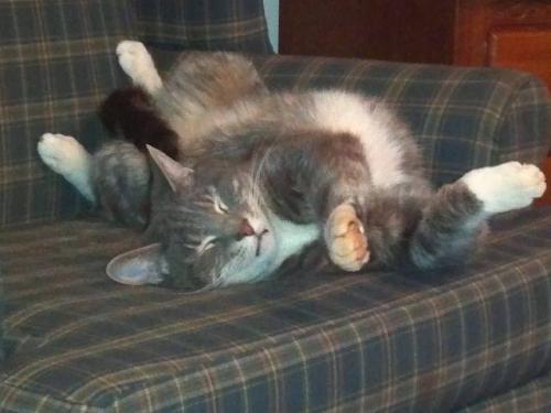 Zzzzzz....