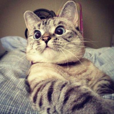 Kaaaaa?! :O