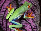 webshots_11015_t1.jpg