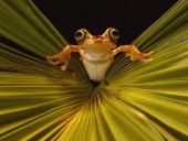 webshots_11019_t1.jpg