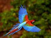 webshots_16003_t1.jpg
