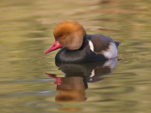 webshots_16016.jpg