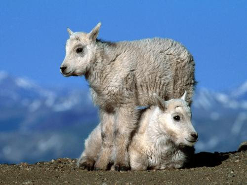 webshots_18005.jpg