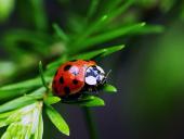 webshots_23014_t1.jpg