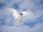 webshots_28015_t1.jpg