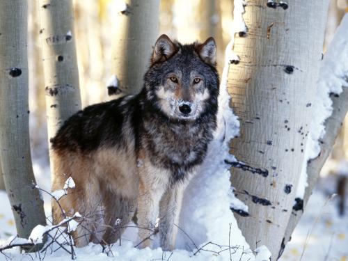 webshots_28020.jpg