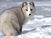 webshots_36007_t1.jpg