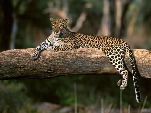 webshots_36012.jpg