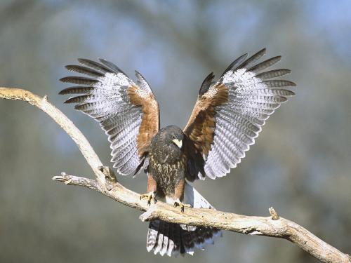 webshots_36019.jpg