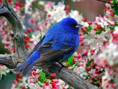 webshots_3_005_t1.jpg