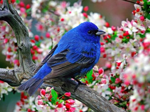 webshots_3_005.jpg