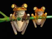 webshots_7_001_t1.jpg