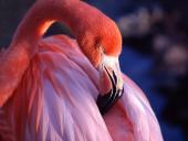 webshots_7_002_t1.jpg