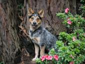 webshots_7_003_t1.jpg