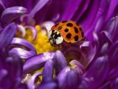 webshots_7_010_t1.jpg