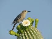 webshots_8011_t1.jpg